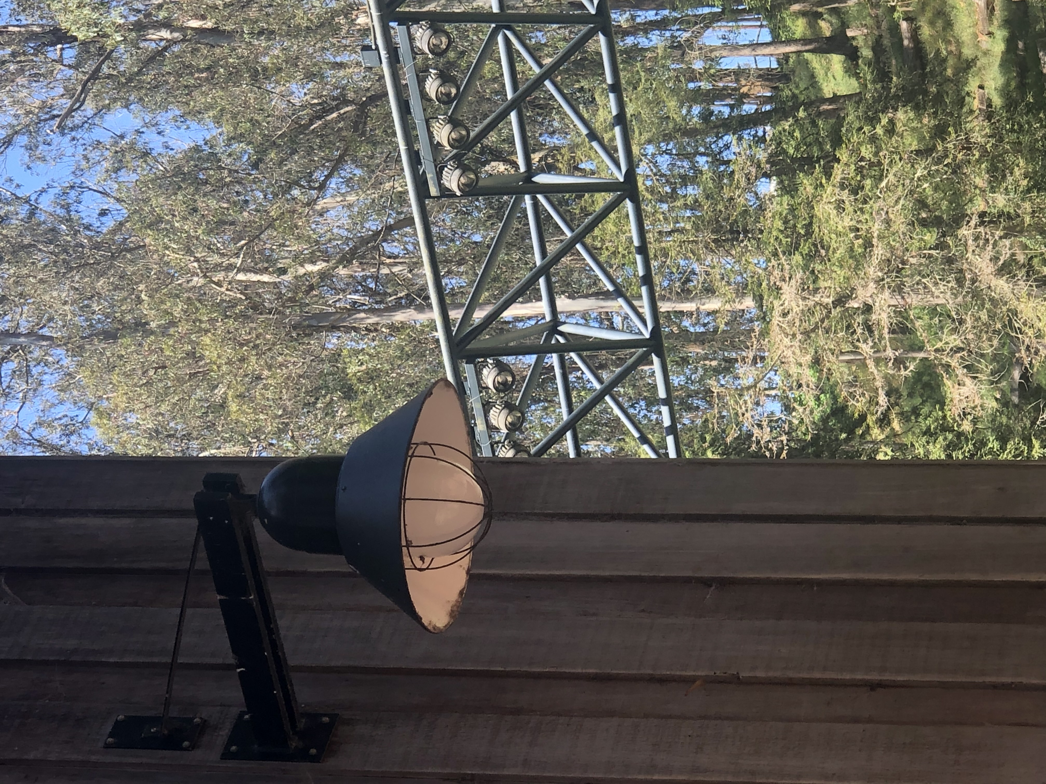 Stern Grove architecture and nature
