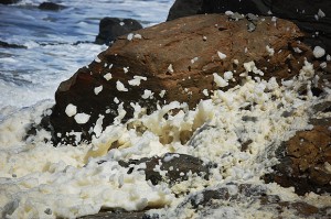 Sea Foam at Fort Funston