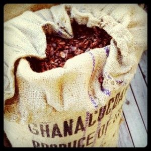 Toxic Cocoa Mulch
