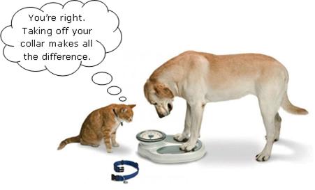 Manage Your Dog's Weight!