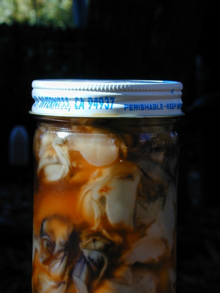 Oysters harvested from red tide